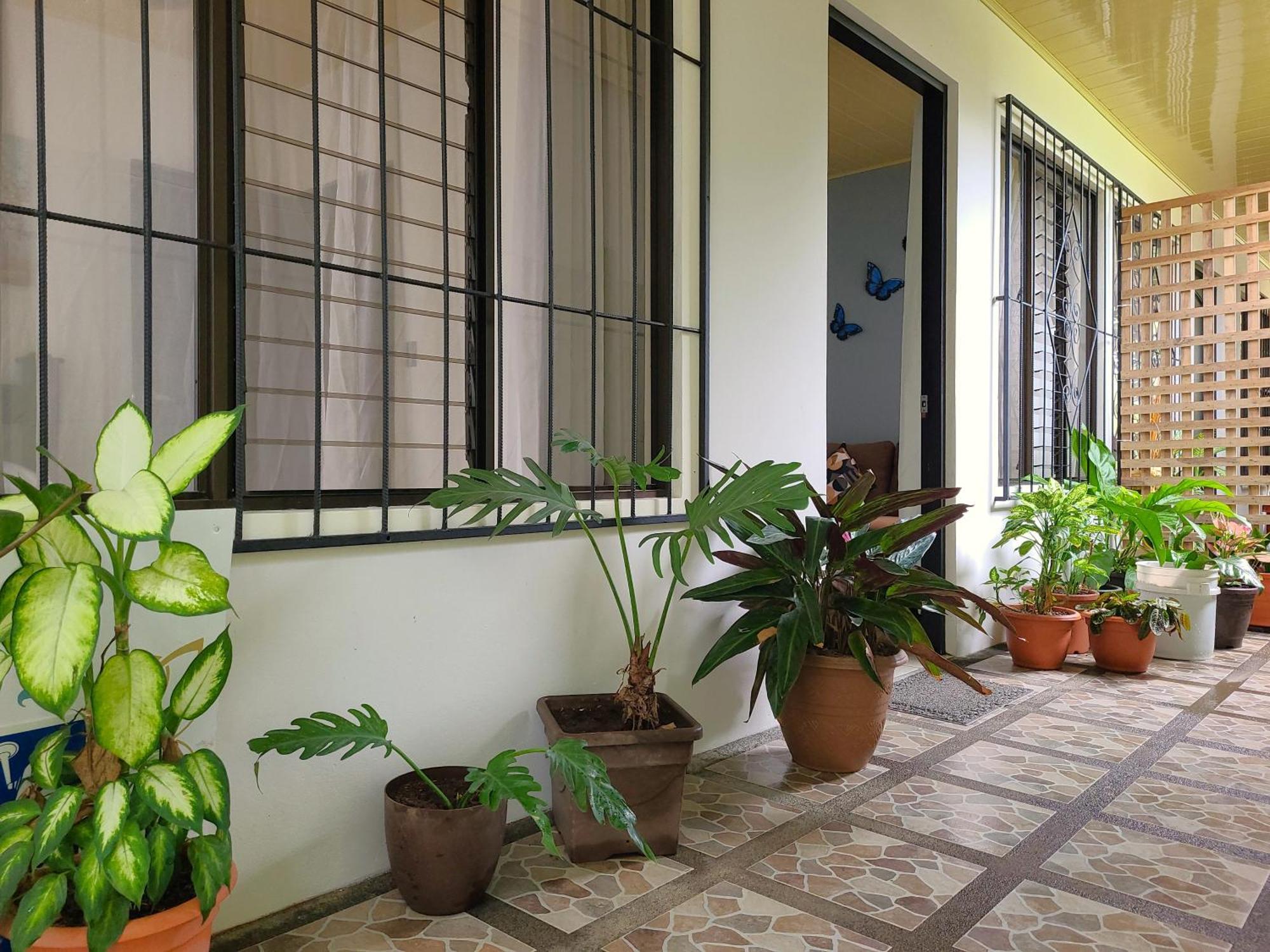 Butterfly Apartments La Fortuna Εξωτερικό φωτογραφία
